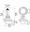 Hella H11 12V 55W PGJ19-2 T4 +50 Performance Halogen Bulb - Pair For Sale