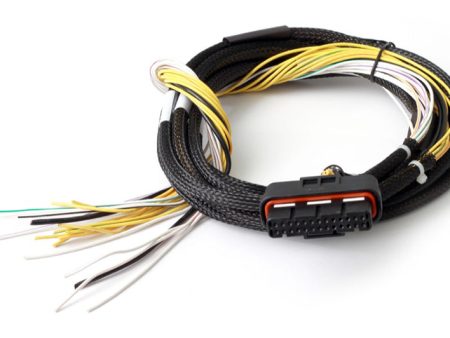 Haltech HPI8 High Power Igniter 2m Flying Lead (Loom Only) Supply