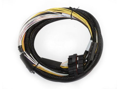 Haltech HPI4 High Power Igniter 2m Flying Lead (Loom Only) Hot on Sale